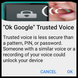 Trusted Voice (Google)