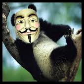 el panda anonymous